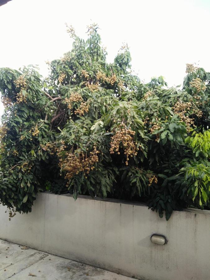 Baba Pim Villa 清邁 外观 照片